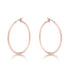 Elegant Hoop Earrings