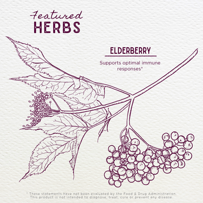 Elderberry by WishGarden Herbs