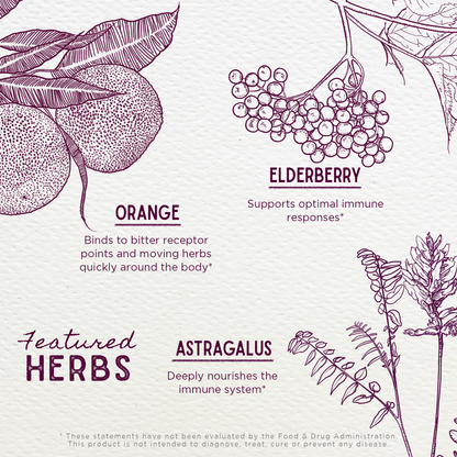 Elderberry Syrup Everyday Immunity for Kids by WishGarden Herbs