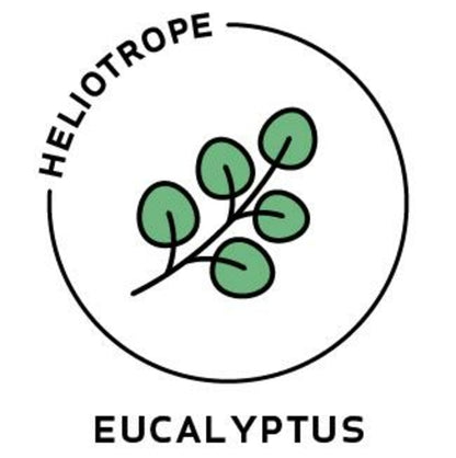 Eucalyptus Essential Oil - 100% Pure Organic Eucalyptus Radiata for Aromatherapy