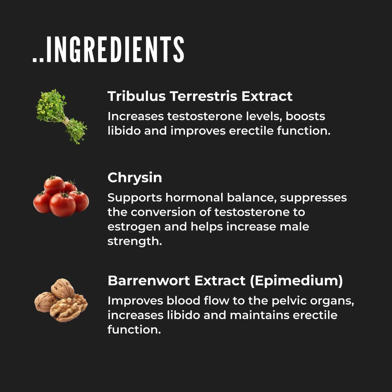 ERECTONINMD Testosterone