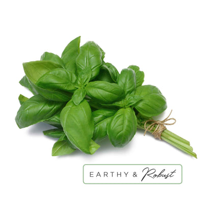 Essential Oil Roll-On in Energize