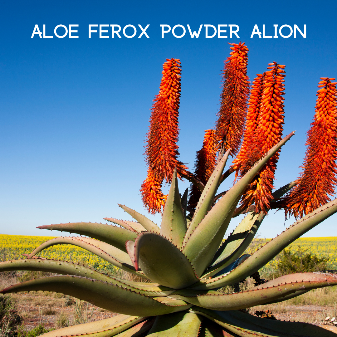 My Balance Nutrisentials – Colon Cleanse