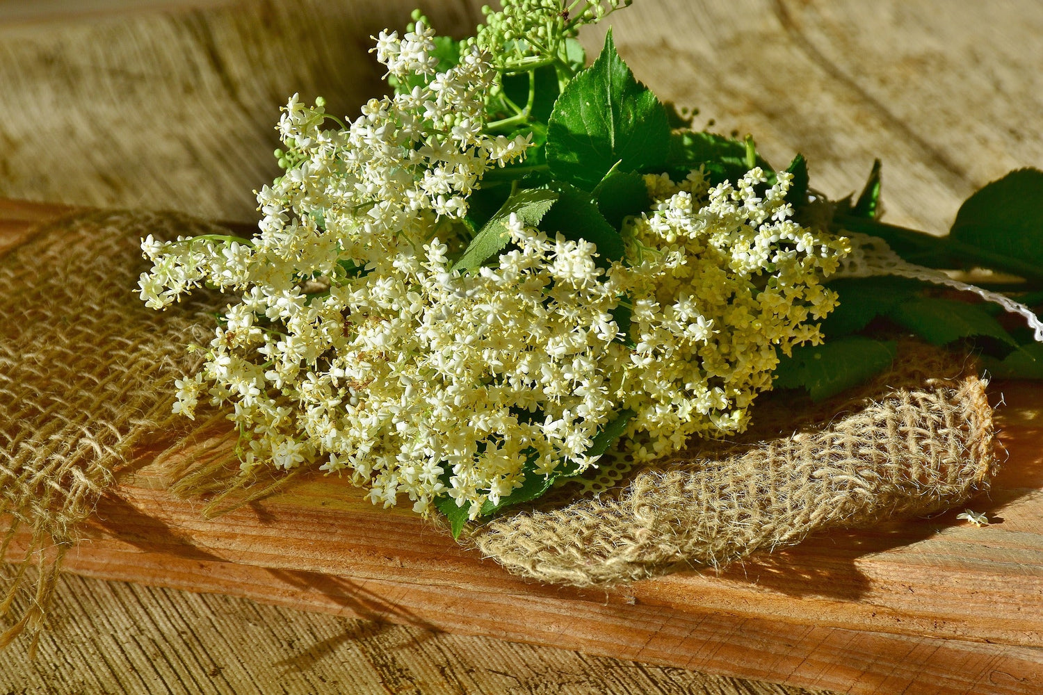 Elderflowers, Whole, Organic by Country Life Natural Foods