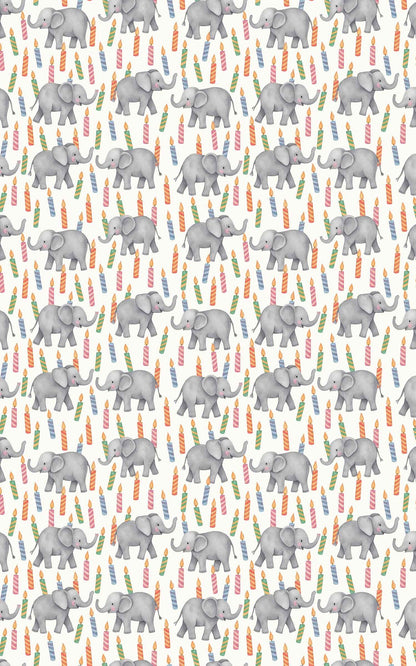 Elephant Birthday Bash
