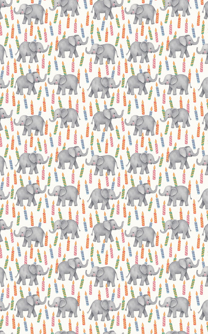 Elephant Birthday Bash