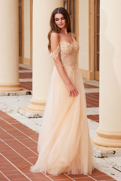 Nox Anabel F1567 Embroidered A-Line Sheer Boned Waistline Dress by DiscountDressShop