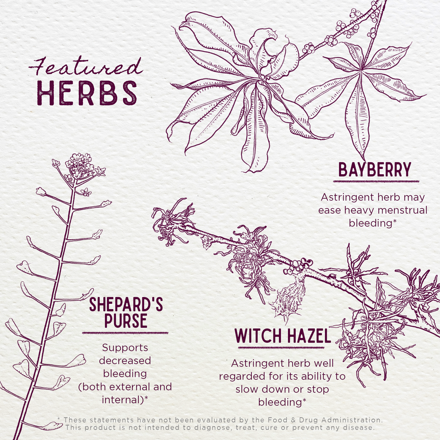 Flow Stopper Lingering Cycle by WishGarden Herbs