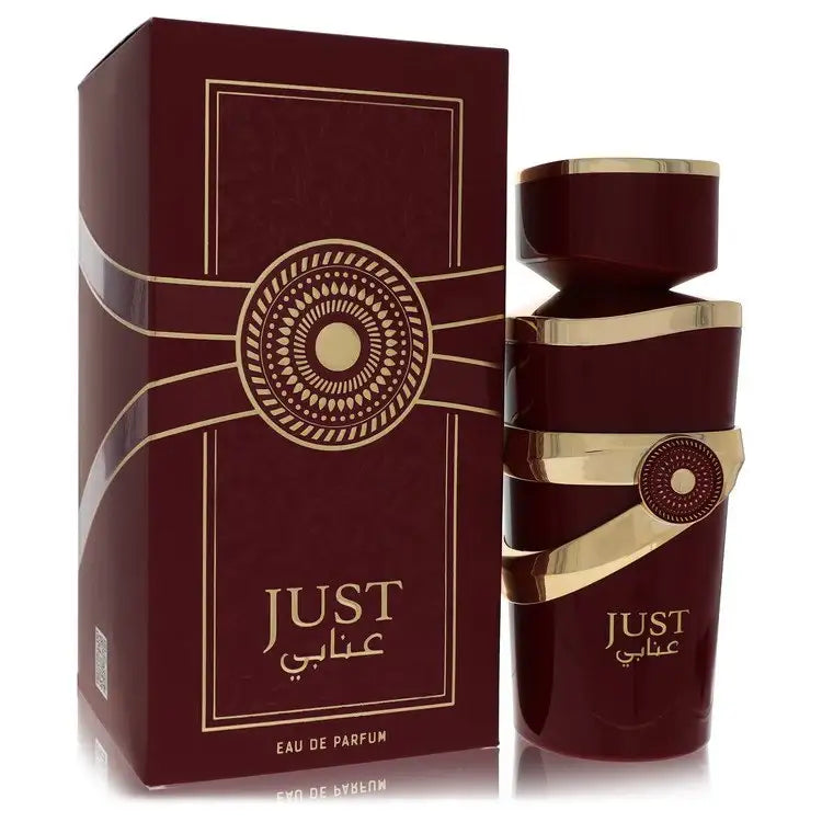 Just Anabi By Fragrance World Perfume for Women 