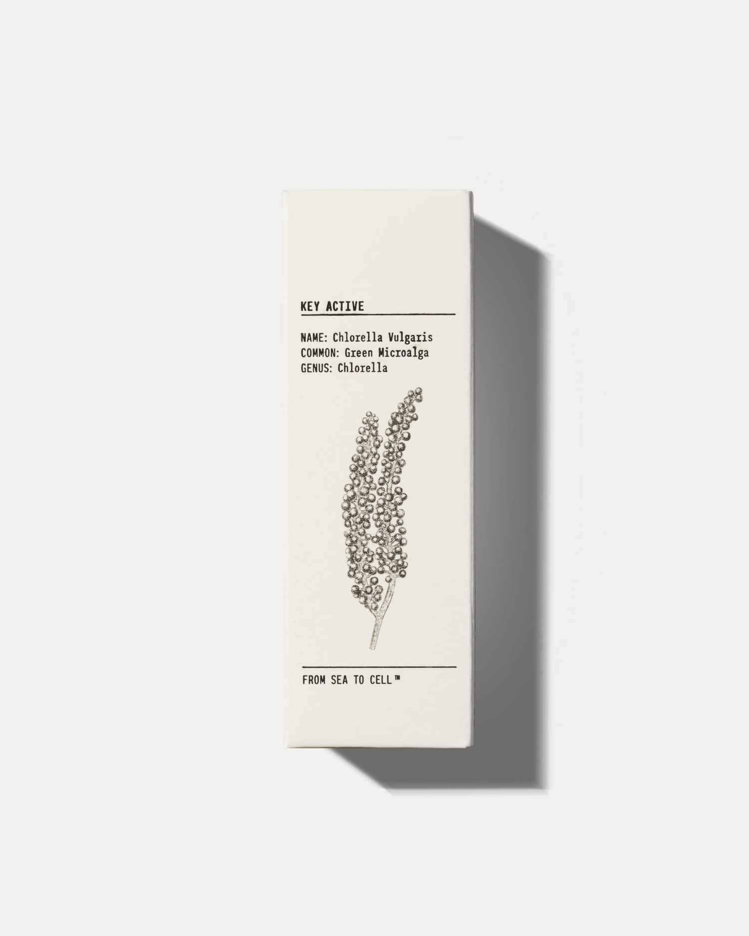 HYDRATING FACE SERUM by YCODE