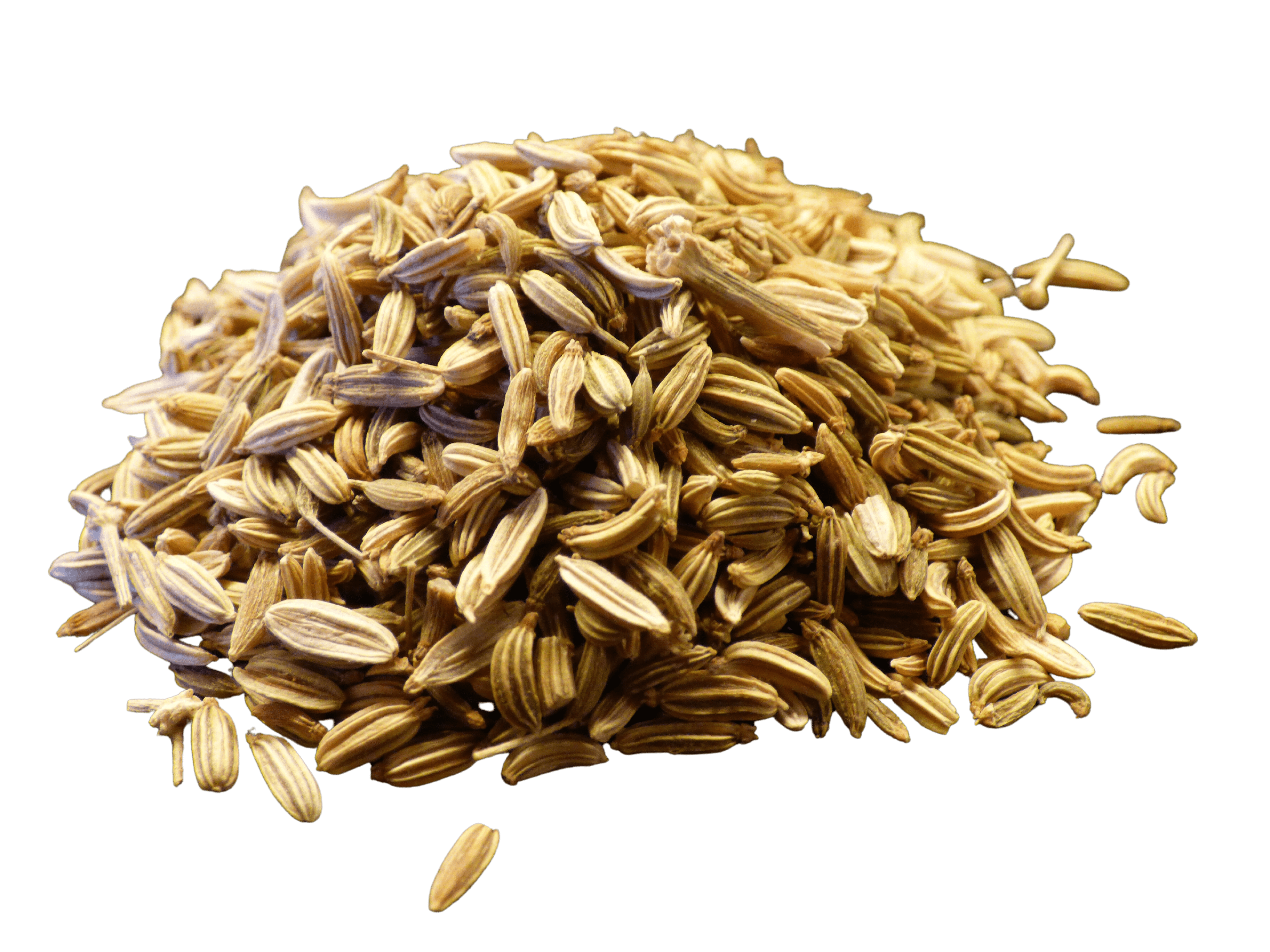 Fennel Seed, Whole by Country Life Natural Foods