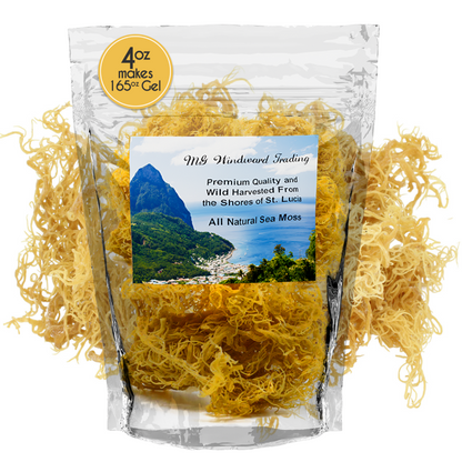 Certified Pure Wild Harvested Organic Gold Raw Sea Moss
