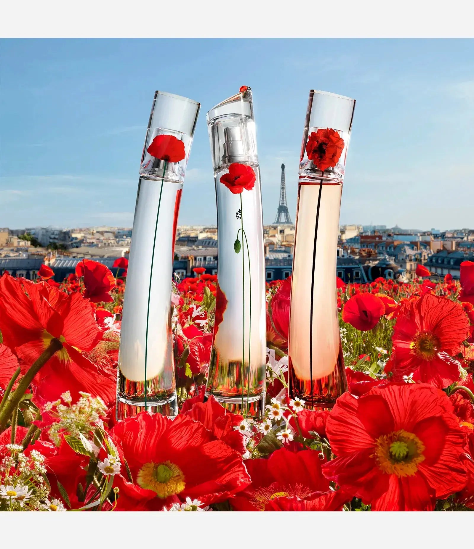 Flower By Kenzo For Women 3Pcs Set EDP Spray by perfumesandrea