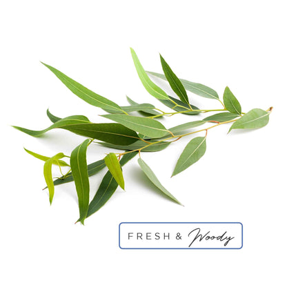 Essential Oil Roll-On in Clarity