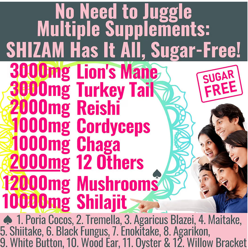 Shilajit + 17 Mushroom Complex Gummies | 22,000mg All-in-One Energy &amp; Immunity Booster | Sugar-Free Peach Mango Flavor by Seamoss depot