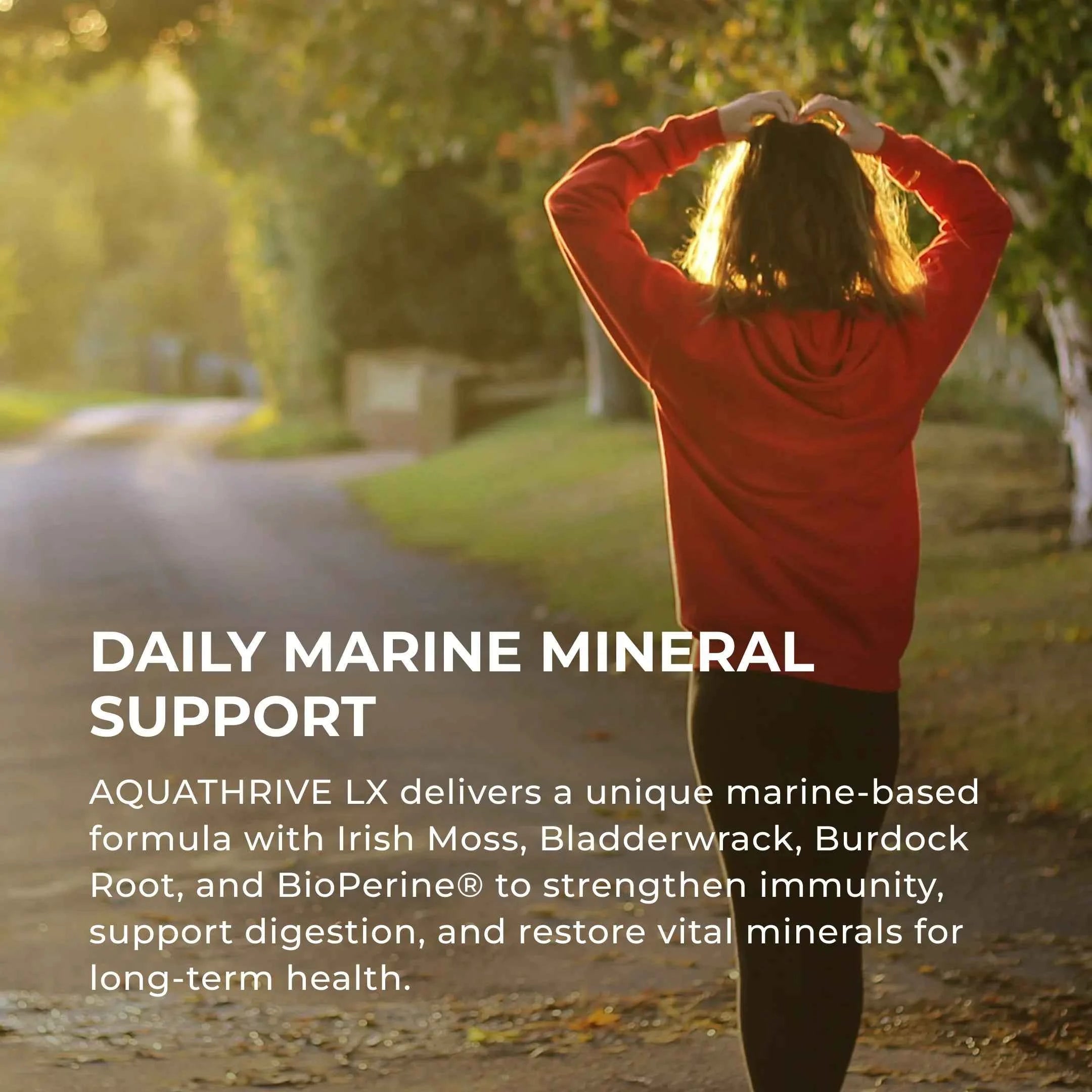 Elements Lab Aquathrive LX