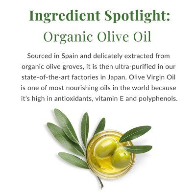 DHC Olive Virgin Oil Facial Moisturizer 1 fl oz - Imperfect Box by This is Beauty US
