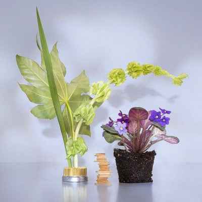 Good Chemistry Travel Spray Eau De Parfum Perfume Magnolia Violet 0.34 fl oz - New