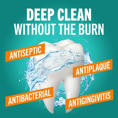 TheraBreath Deep Clean Mouthwash Fresh Mint 16 fl oz - New by This is Beauty US