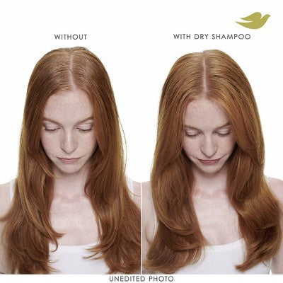 Dove Beauty Refresh + Care Volume &amp; Fullness Dry Shampoo 7.3oz - Imperfect Container by This is Beauty US