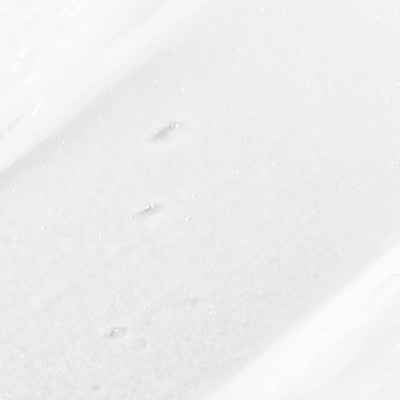 Paul Mitchell Full Circle Leave-In Conditioning Hair Treatment 6.8 fl oz - New