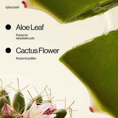 Eva NYC Bounce Back Curl Reviving Mist 5 fl oz - New