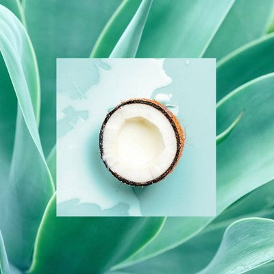 Raw Sugar Multi-Miracle Leave-in Heat Protectant &amp; Conditioner Coconut Milk and Blue Agave 6 fl oz - Imperfect Container by This is Beauty US