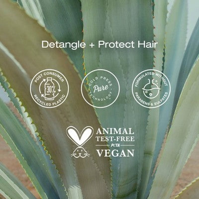 Raw Sugar Multi-Miracle Leave-in Heat Protectant &amp; Conditioner Coconut Milk and Blue Agave 6 fl oz - Imperfect Container by This is Beauty US
