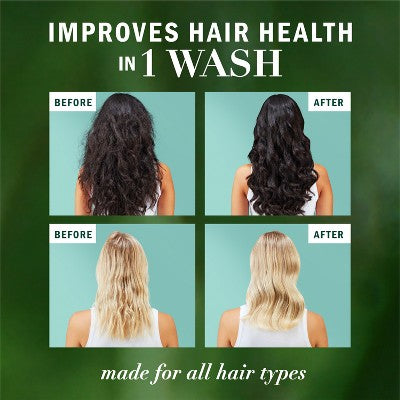 Herbal Essences Eucalyptus Sulfate Free Shampoo, For Dry Scalp 13.5 fl oz - Imperfect Container by This is Beauty US