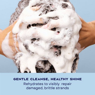 SheaMoisture Manuka Honey &amp; Yogurt Hydrate &amp; Repair Shampoo 13 fl oz - Imperfect Container