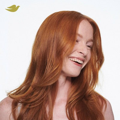 Dove Beauty Daily Moisture Hair Shampoo with Hyaluronic Serum &amp; Bio-Protein Care 28 fl oz - Imperfect Container by This is Beauty US