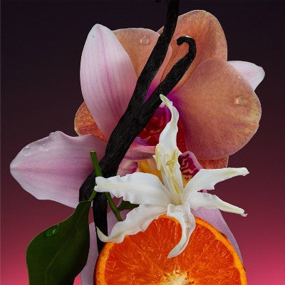 Athena Club All Over Solid Deodorant Super Pink 3oz - New by This is Beauty US