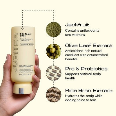 Jupiter Dry Scalp Care Deep Moisturizing Conditioner 8.5 fl oz - Imperfect Container by This is Beauty US
