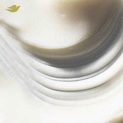 Dove Beauty Intensive Repair Therapy 10-in-1 Serum Hair Mask 9.2oz - Imperfect Container by This is Beauty US