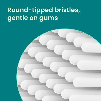 quip Rev Oscillating Brush Head Refill White 2pk - Imperfect Box by This is Beauty US