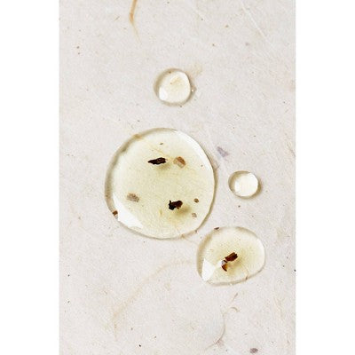 Alodia Nourish and Grow Healthy Hair and Scalp Oil 8.5 fl oz - New by This is Beauty US