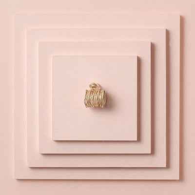 The Hair Edit Gilded Wrap Clip - New