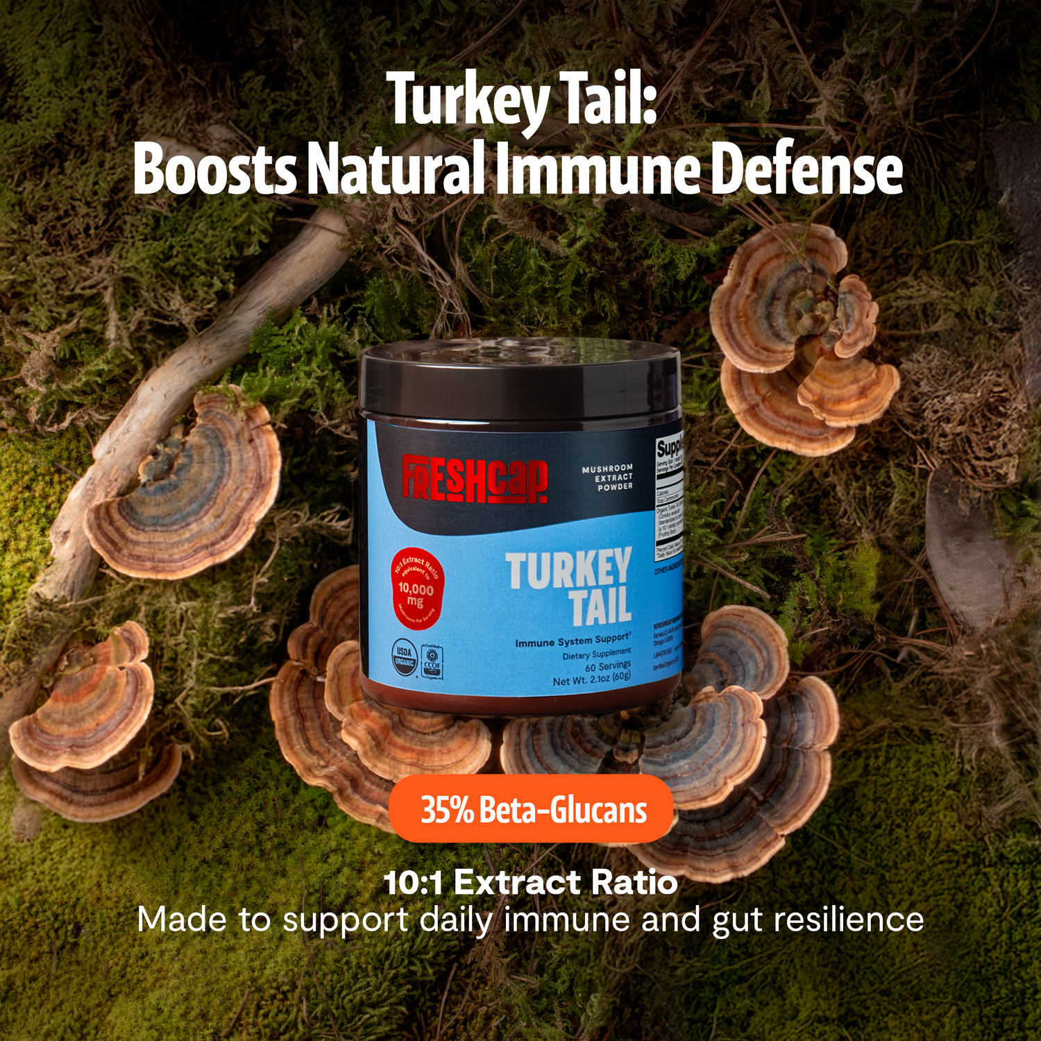 Turkey Tail Mushroom Extract Powder by FreshCap Mushrooms