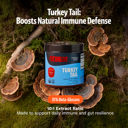 Turkey Tail Mushroom Extract Powder by FreshCap Mushrooms