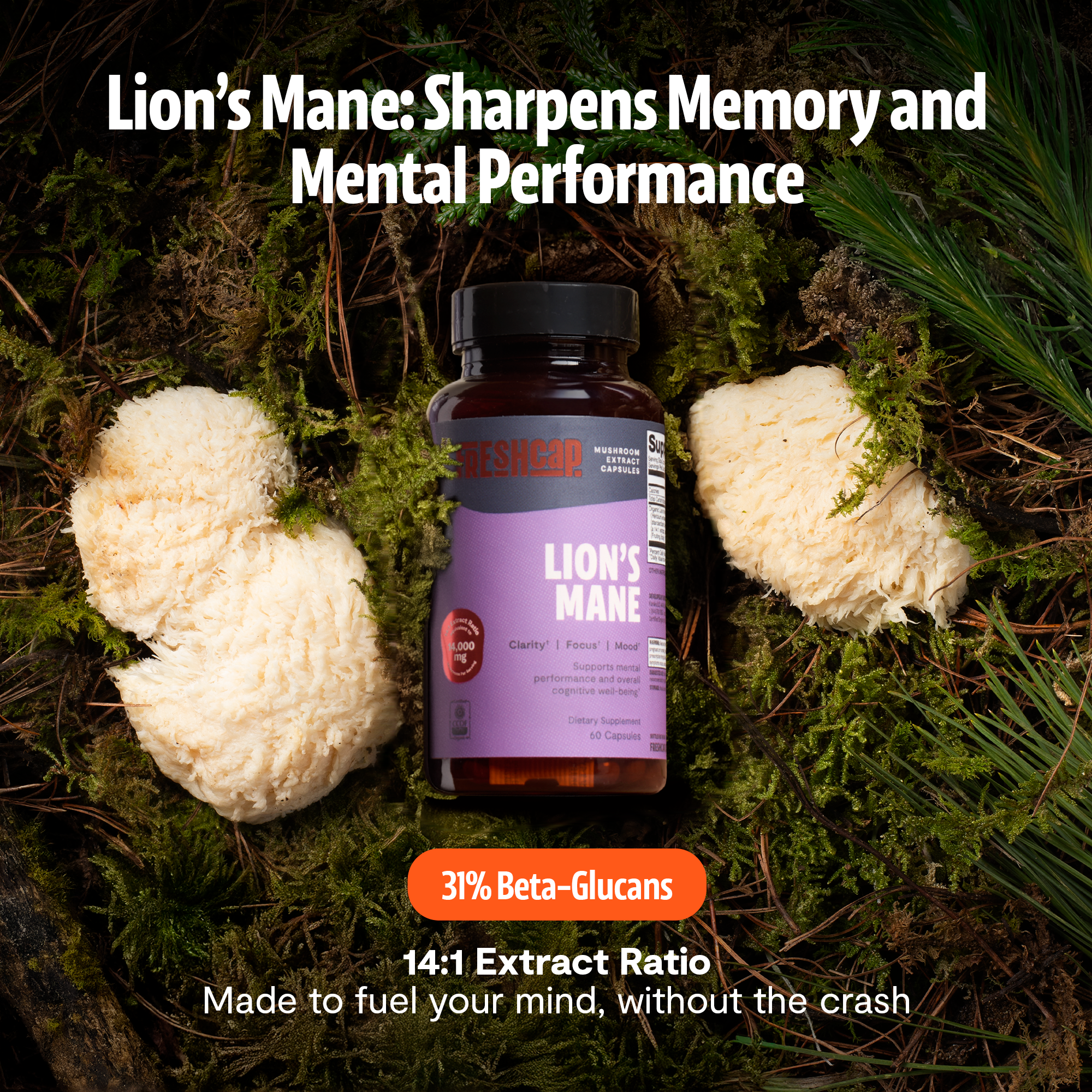 Lion&