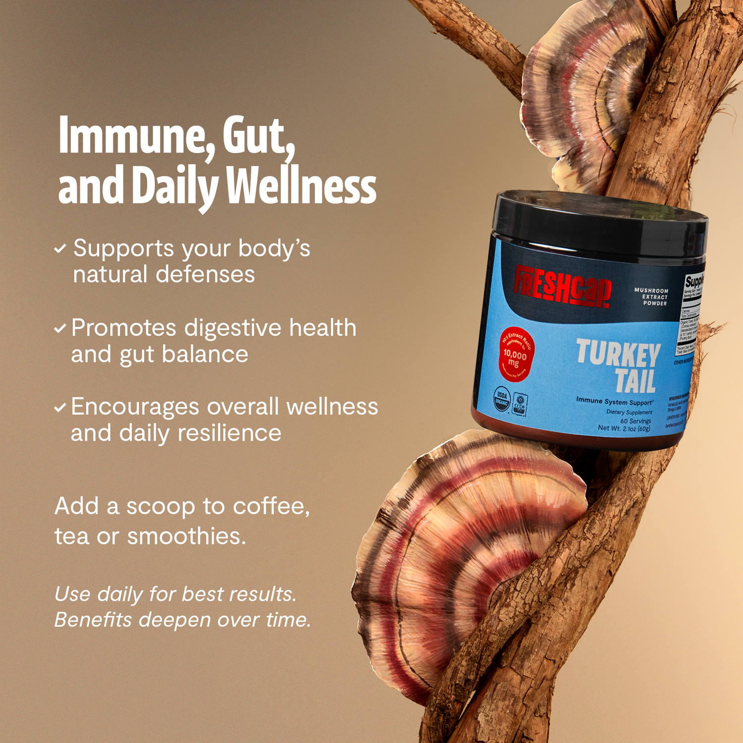 Organic Turkey Tail Mushroom Powder by FreshCap Mushrooms