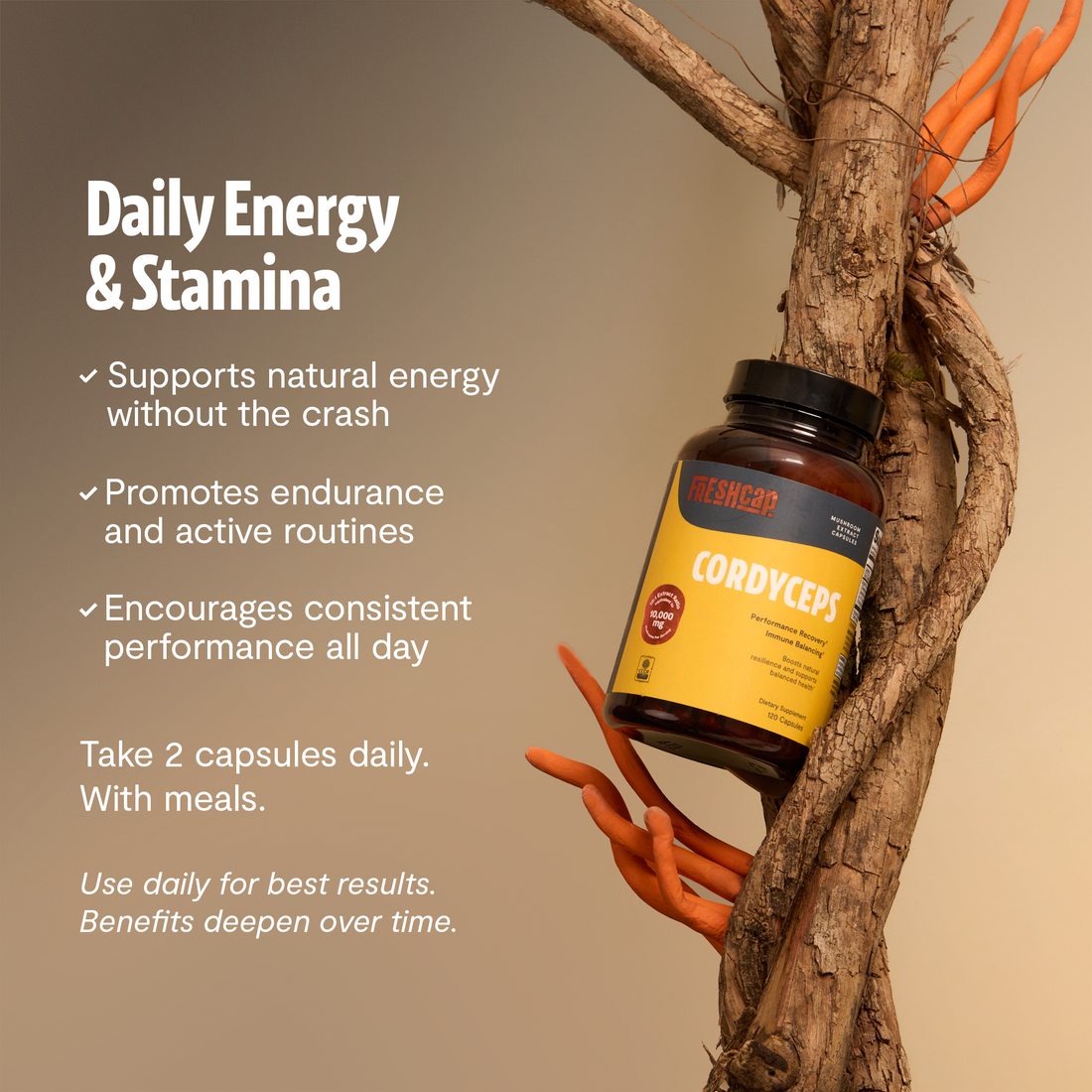 Cordyceps Mushroom Extract Capsules by FreshCap Mushrooms