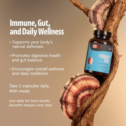 Turkey Tail Mushroom Extract Capsules by FreshCap Mushrooms