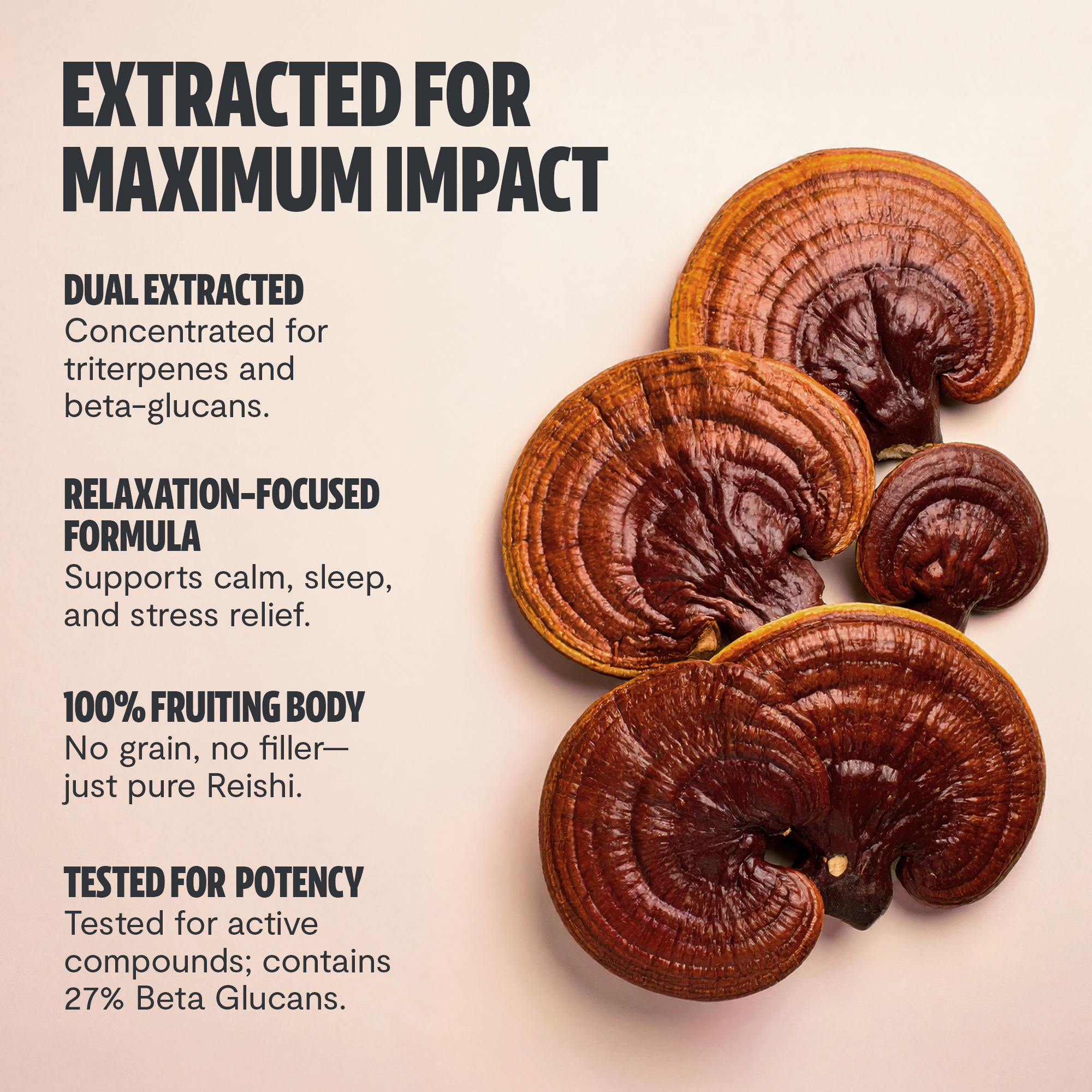 Reishi Mushroom Extract Capsules