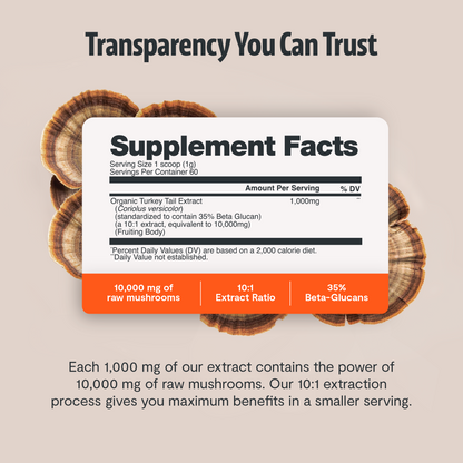 Turkey Tail Mushroom Extract Powder by FreshCap Mushrooms