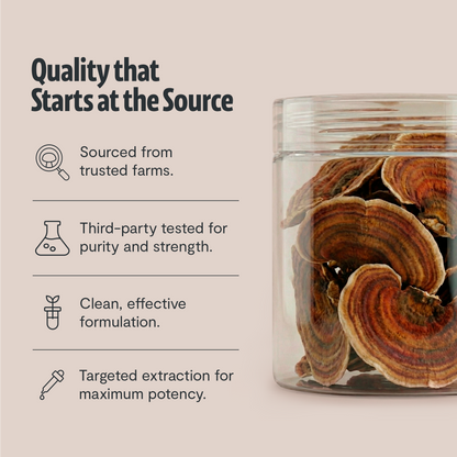 Turkey Tail Mushroom Extract Powder by FreshCap Mushrooms