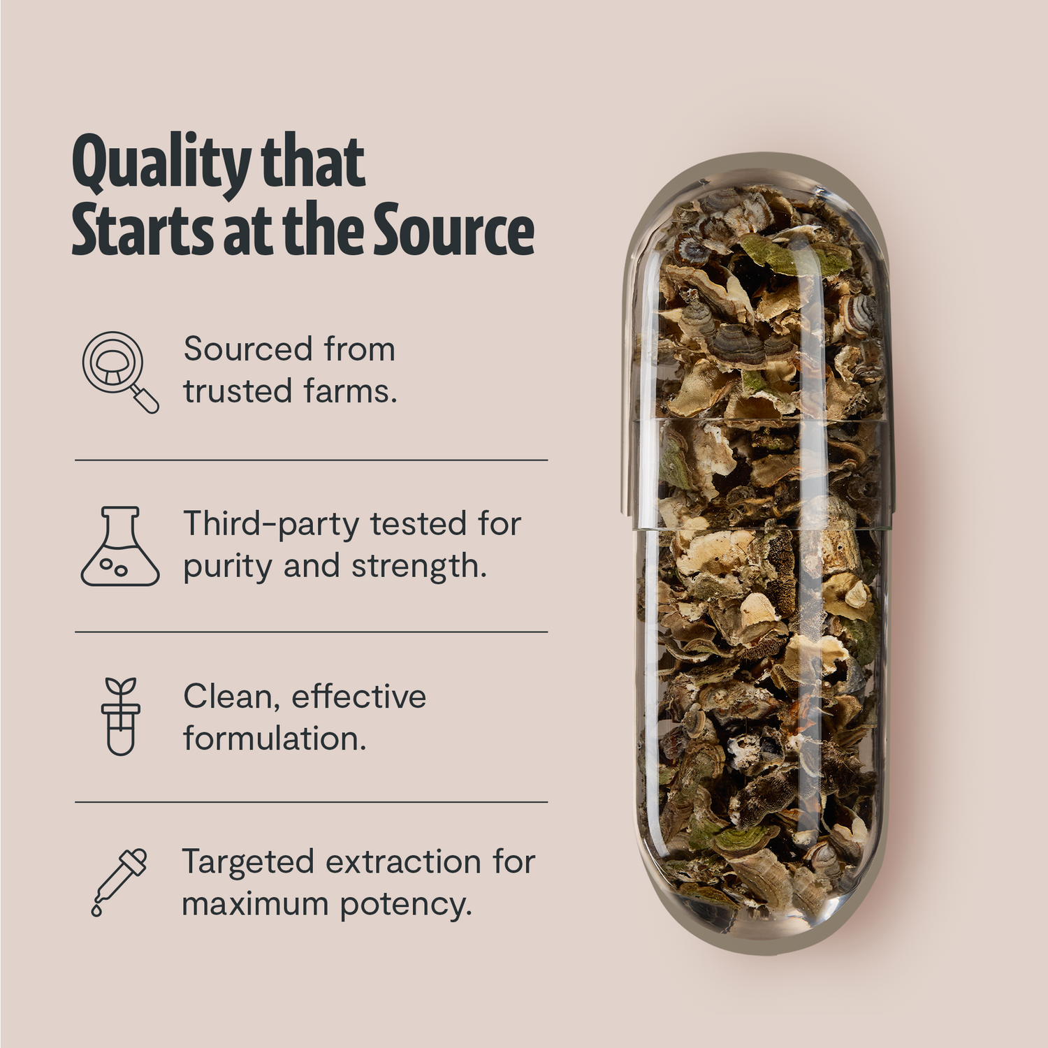 Turkey Tail Mushroom Extract Capsules by FreshCap Mushrooms
