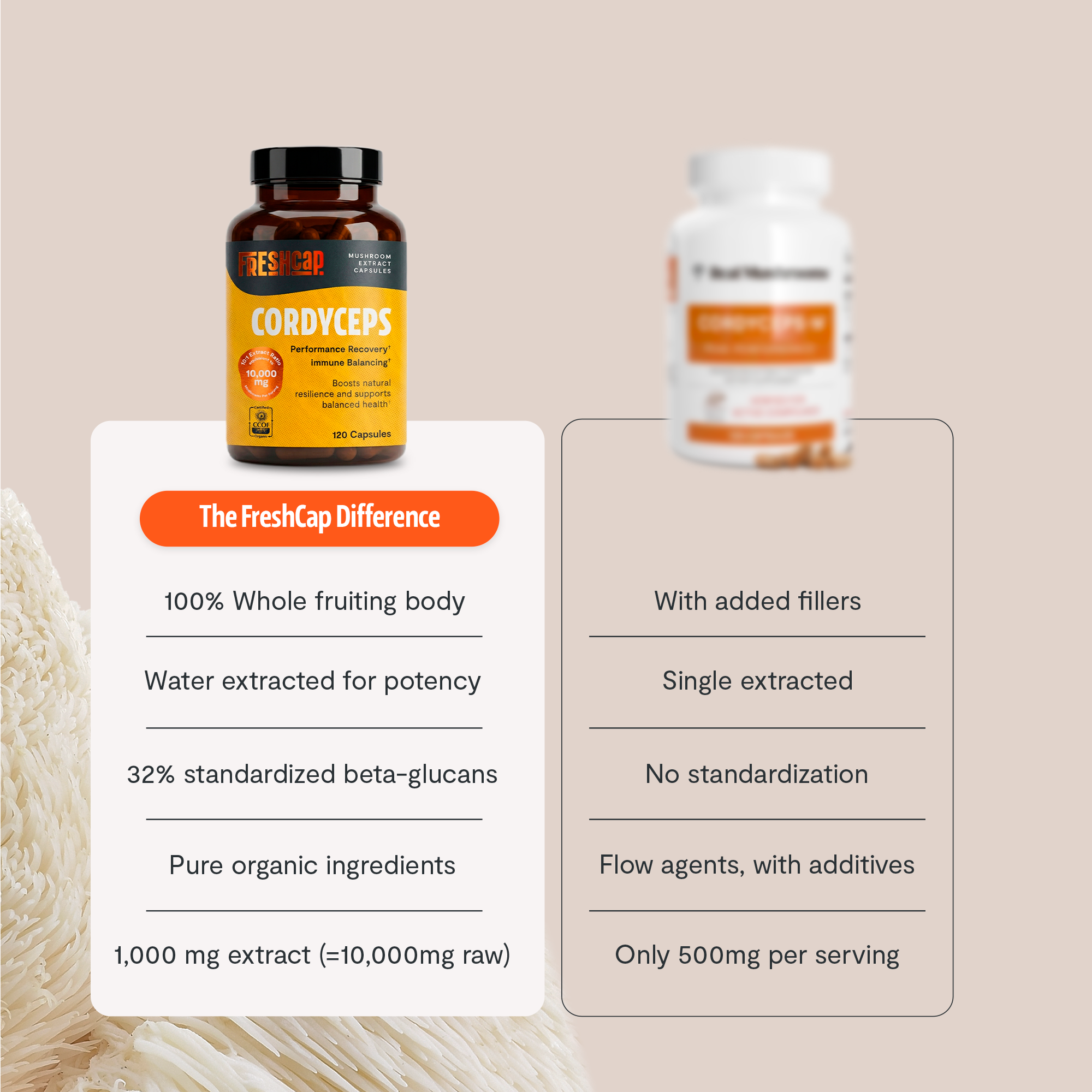 Cordyceps Mushroom Extract Capsules by FreshCap Mushrooms
