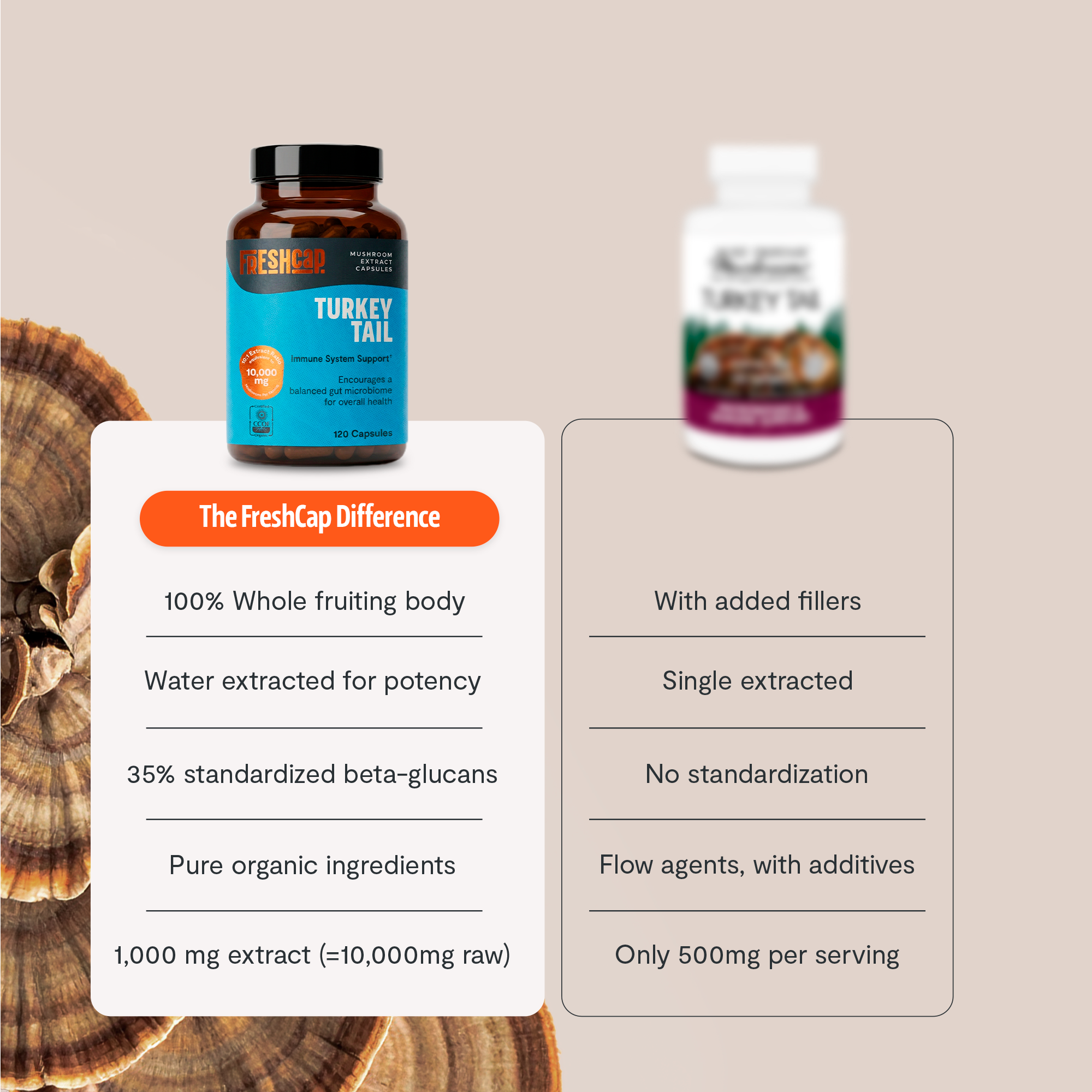 Turkey Tail Mushroom Extract Capsules by FreshCap Mushrooms