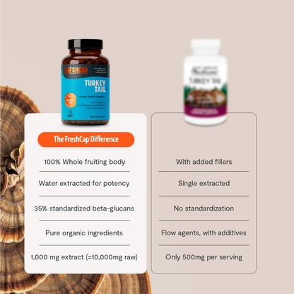 Turkey Tail Mushroom Extract Capsules by FreshCap Mushrooms
